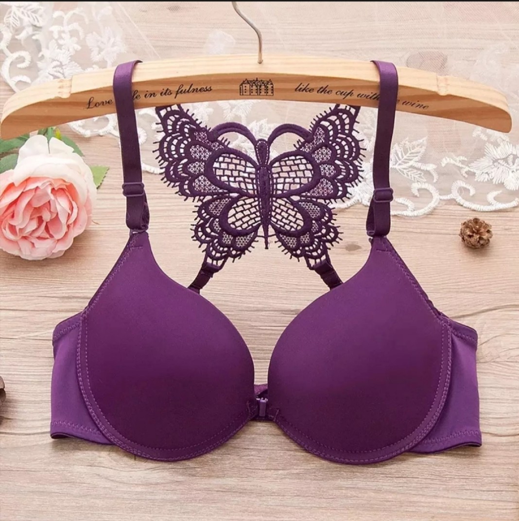 Best Butterfly Design Lingerie Lace Bra and Panty Set Price in